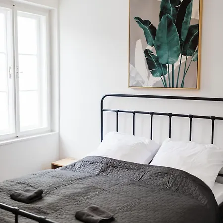 公寓 Design-apartments In Der Braunauer Altstadt 因河畔布劳瑙