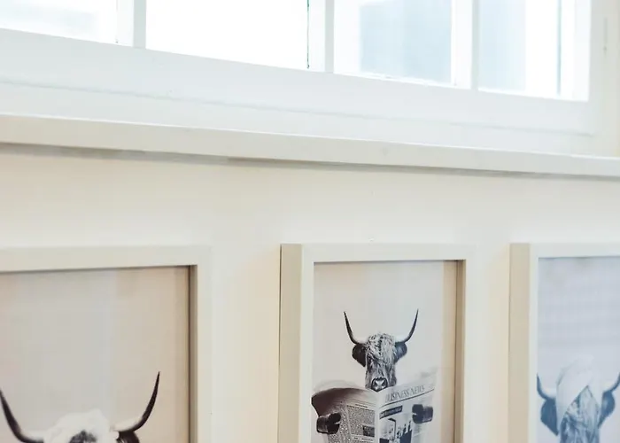 Design-apartments In Der Braunauer Altstadt Appartement