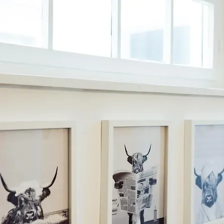 Design-apartments In Der Braunauer Altstadt Appartamento